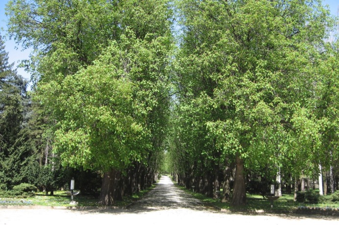 Парк в дворцовом комплексе