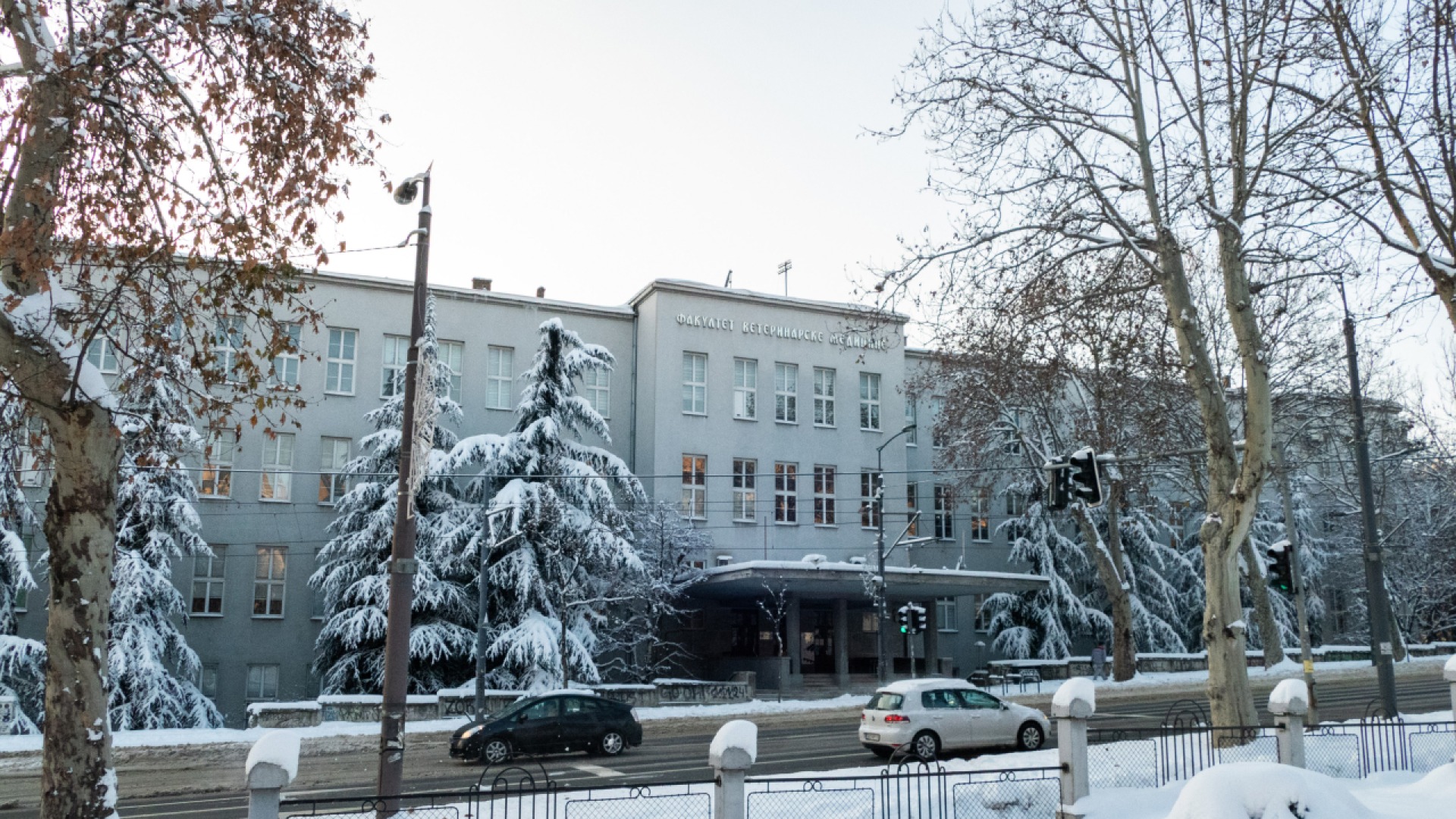 Ветеринарный факультет