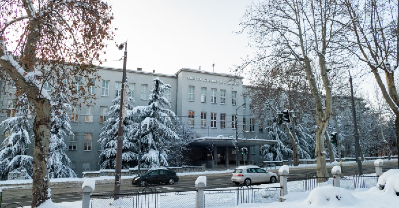 Превью объекта «Ветеринарный факультет»